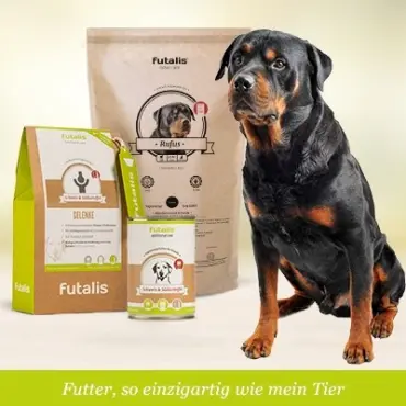 Welches Futter für Rottweiler?