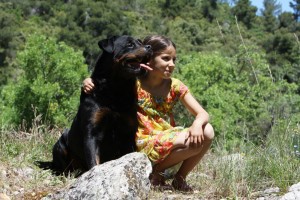 Rottweiler als Familienmitglied