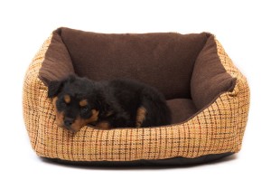 Rottweiler Hundekorb