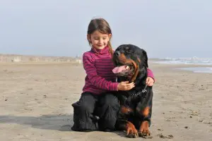 Rottweiler Kaufen Kinder