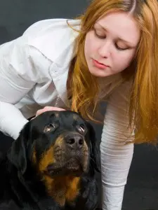 Rottweiler Fell auf Verunreinigungen untersuchen