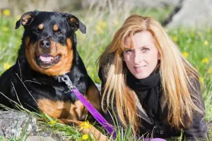 Rottweiler Übergewicht