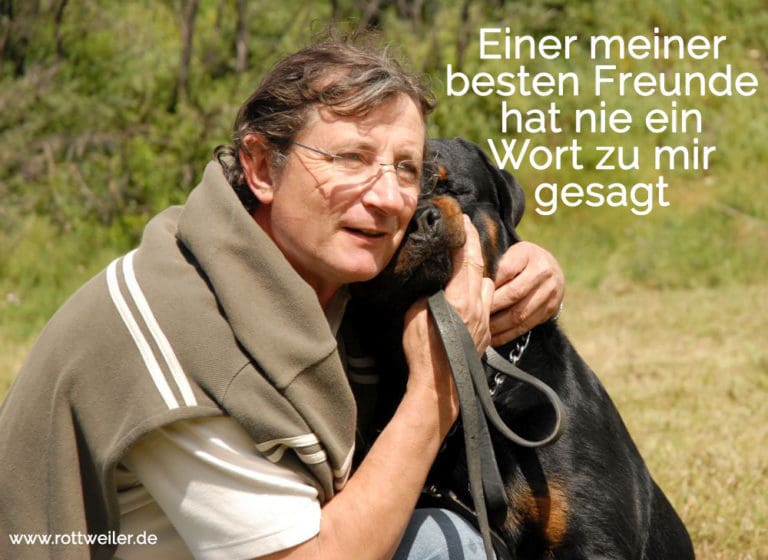 Rottweiler Zitate und Sprüche Rottweiler.de