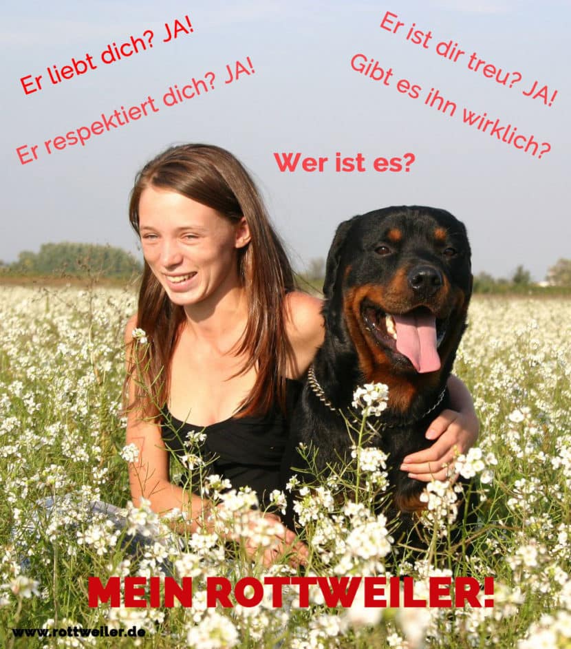 Rottweiler Zitate und Sprüche Rottweiler.de