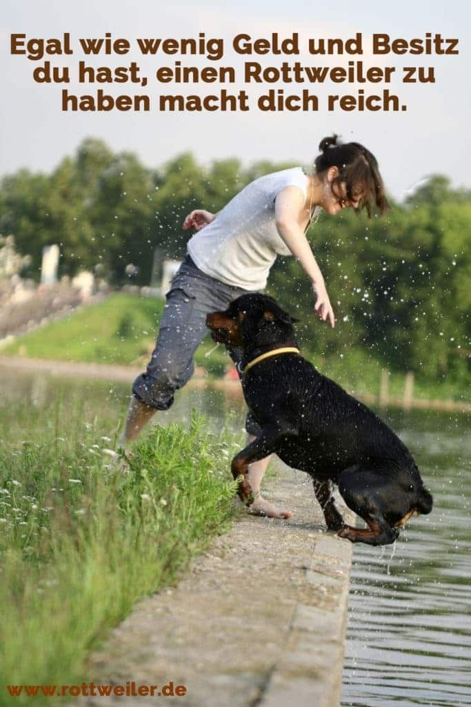 Rottweiler Zitate und Sprüche Rottweiler.de