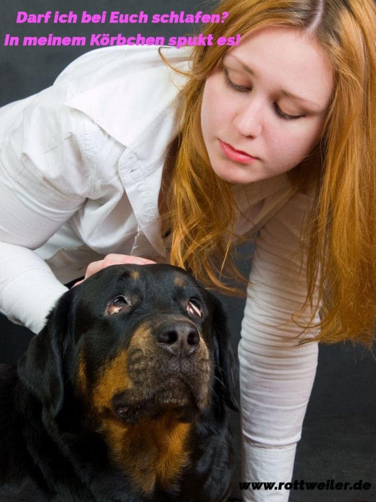 Rottweiler Zitate und Sprüche Rottweiler.de