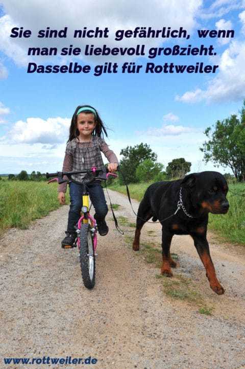 Rottweiler Zitate und Sprüche Rottweiler.de
