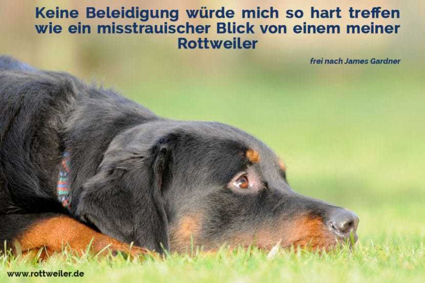 Rottweiler Zitate und Sprüche Rottweiler.de