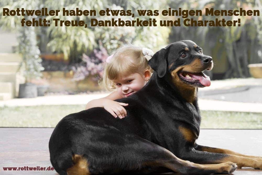 Rottweiler Zitate Und Sprüche