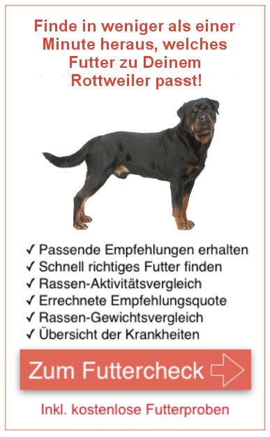 Futterproben Rottweiler