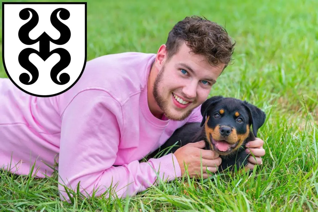 Rottweiler Züchter mit Welpen Bad Dürkheim, Rheinland-Pfalz