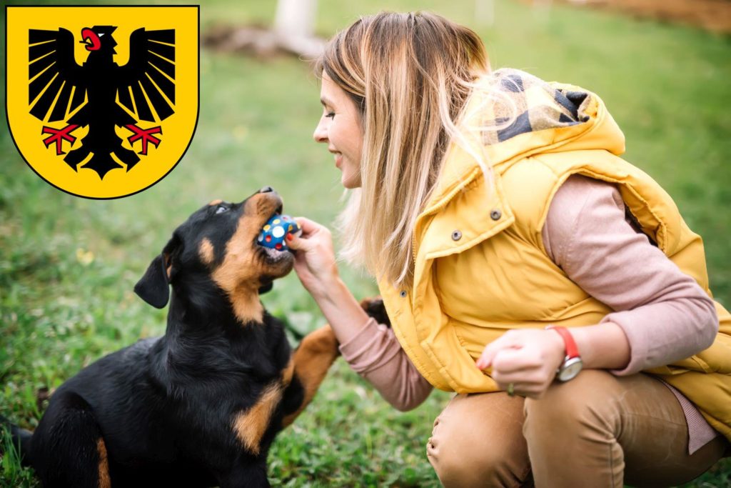 Rottweiler Züchter mit Welpen Dortmund, Nordrhein-Westfalen