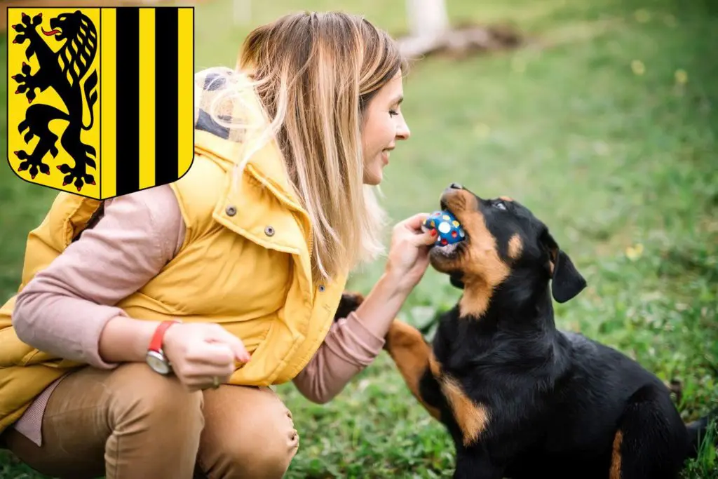 Rottweiler Züchter mit Welpen Dresden, Sachsen