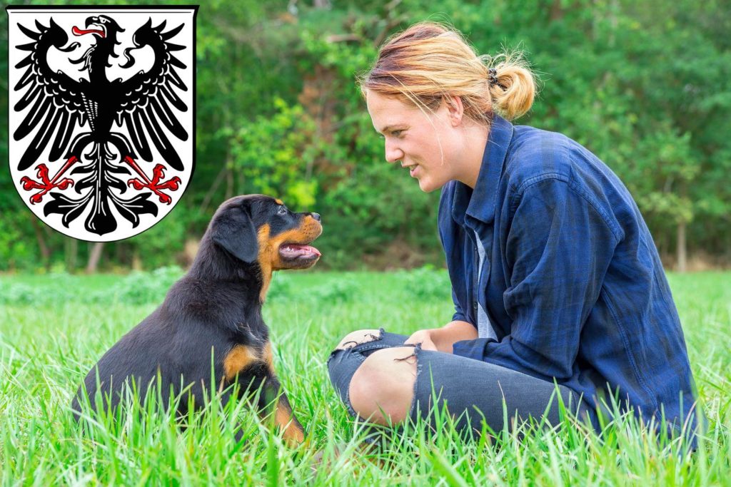 Rottweiler Züchter mit Welpen Ingelheim am Rhein, Rheinland-Pfalz