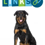 Links zu interessanten Rottweiler Projekten im World Wide Web