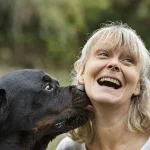 Lebenserwartung Rottweiler - Wie lange lebt ein Rottweiler?