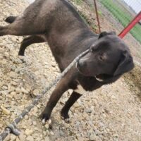 Ava - geb. 05/2022 - mit VIDEO