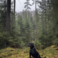 Elsa sucht neues Zuhause