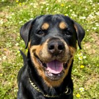 Roxy liebt Kinder über alles und wünscht sich wieder eine Familie