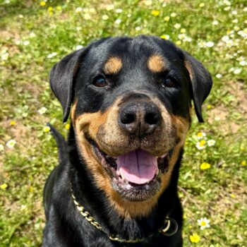 Roxy liebt Kinder über alles und wünscht sich wieder eine Familie