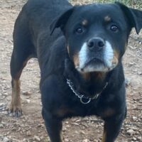 Luna hat das Herz am rechten Fleck