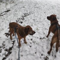 Egon sucht sein neues Zuhause