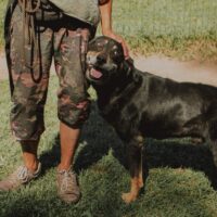 Kaukas: Rüde • geb.ca. 2015-2017 • 58cm • 32kg