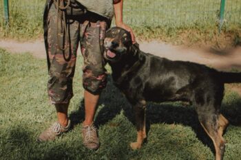 Kaukas: Rüde • geb.ca. 2015-2017 • 58cm • 32kg